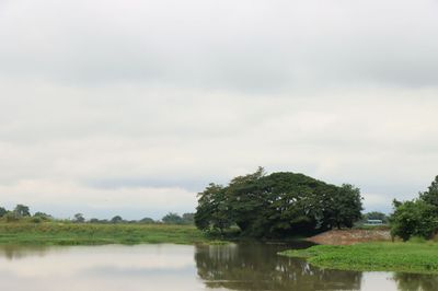 IMG_6658.JPG