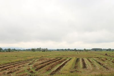 IMG_6659.JPG