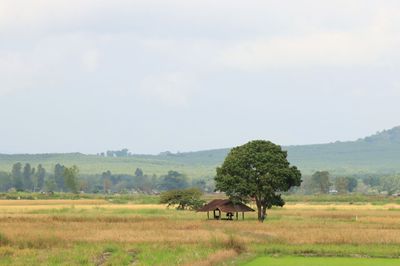 IMG_6694.JPG