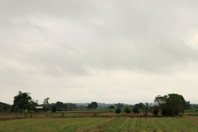 IMG_6706.JPG
