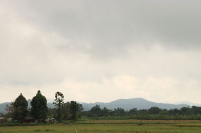 IMG_6707.JPG