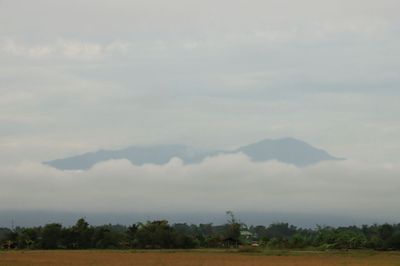 IMG_6709.JPG