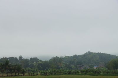 IMG_6793.JPG