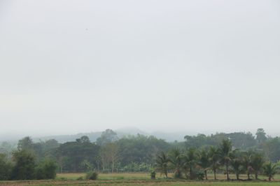 IMG_6794.JPG