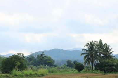 IMG_6796.JPG