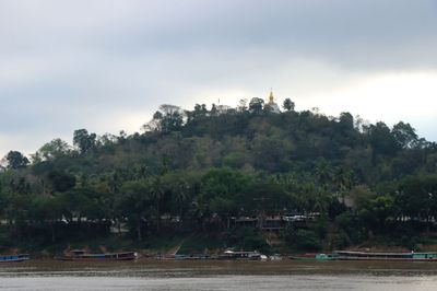 IMG_7017.JPG