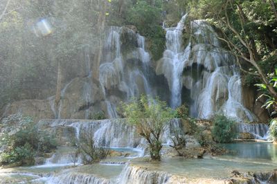 IMG_7304.JPG