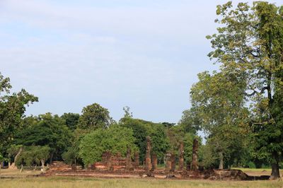 IMG_9078.JPG