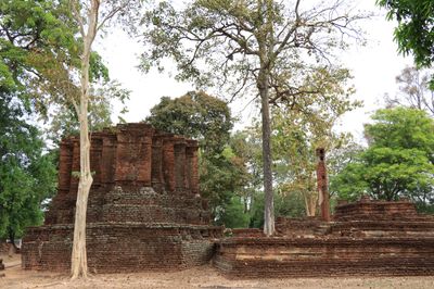 IMG_9410.JPG