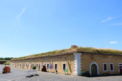 IMG_7250.JPG