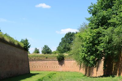 IMG_7271.JPG
