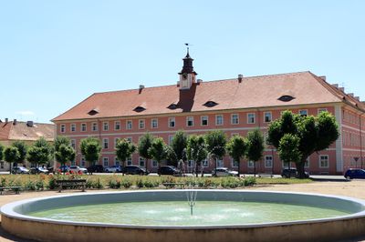 IMG_7290.JPG