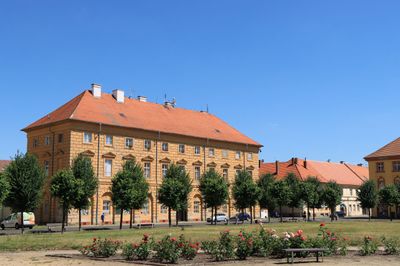 IMG_7292.JPG