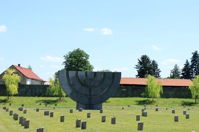 IMG_7294.JPG