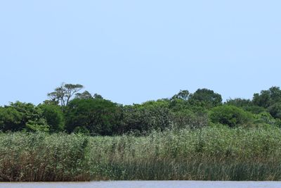 IMG_2842.JPG