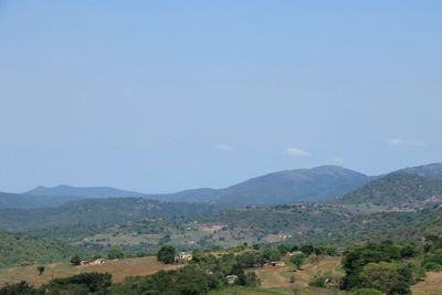 IMG_2435.JPG