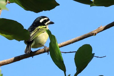 IMG_2493.JPG