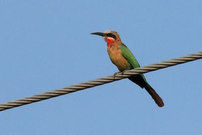IMG_2527.JPG