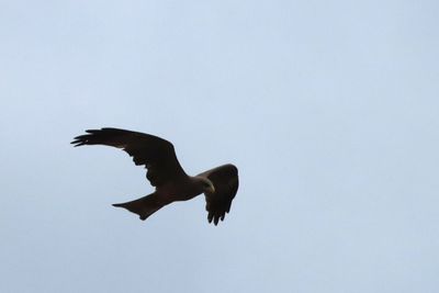 IMG_2729.JPG