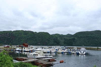 IMG_9678.JPG