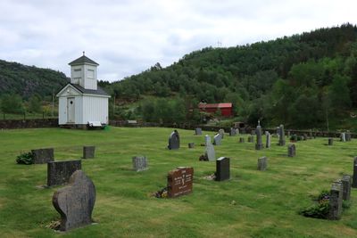 IMG_9687.JPG