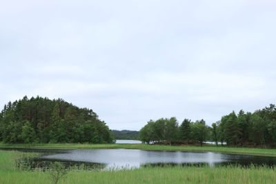 IMG_9911.JPG