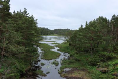 IMG_9923.JPG