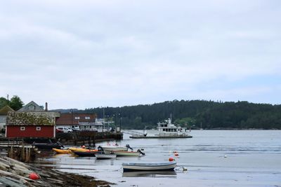 IMG_9955.JPG