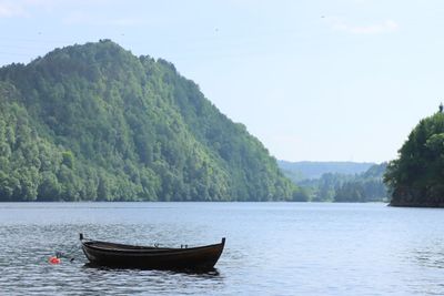 IMG_9988.JPG