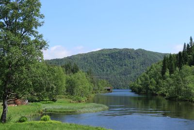 IMG_0029.JPG