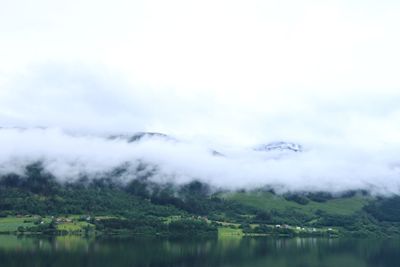 Voss