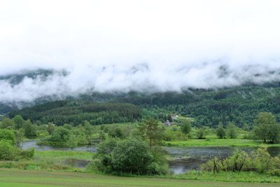 IMG_0104.JPG
