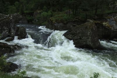 IMG_0127.JPG