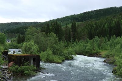 IMG_0131.JPG