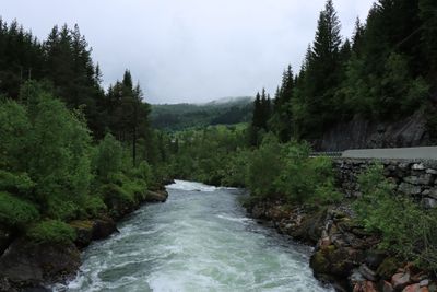 IMG_0132.JPG