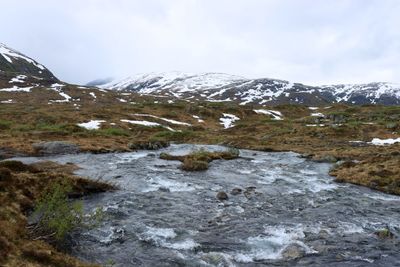 IMG_0179.JPG