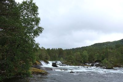 IMG_0182.JPG