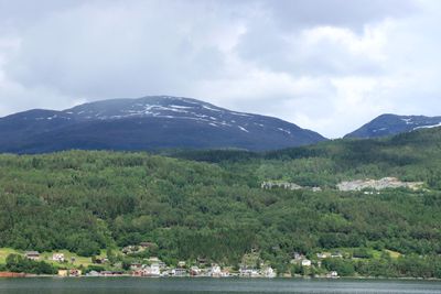 IMG_0217.JPG