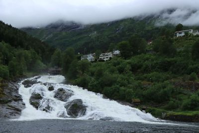 IMG_0247.JPG