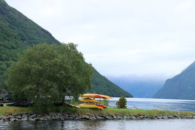 IMG_0251.JPG