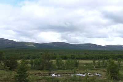 IMG_0378.JPG