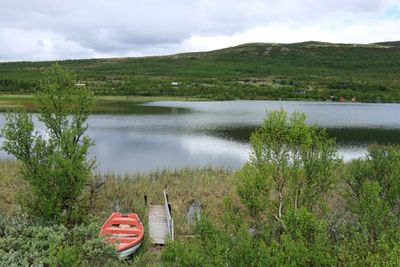 IMG_0393.JPG