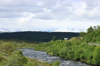 IMG_0403.JPG