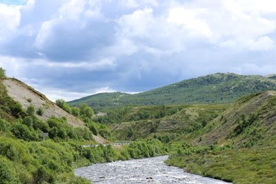 IMG_0405.JPG