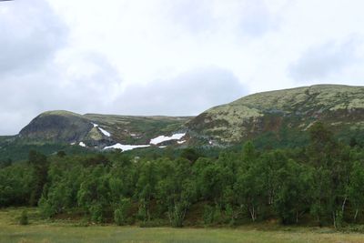 IMG_0487.JPG