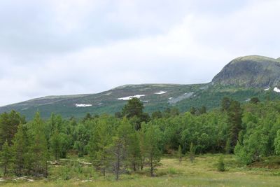 IMG_0488.JPG