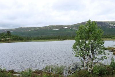 IMG_0493.JPG
