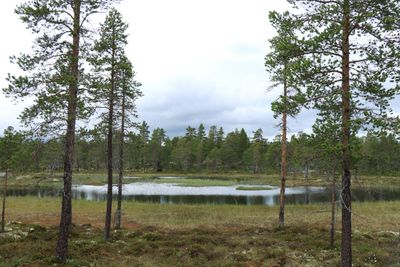 IMG_0499.JPG