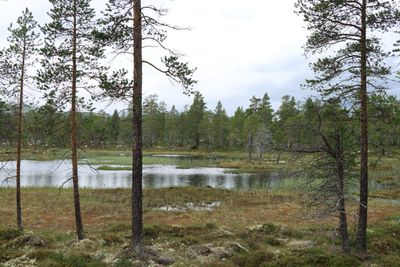 IMG_0500.JPG