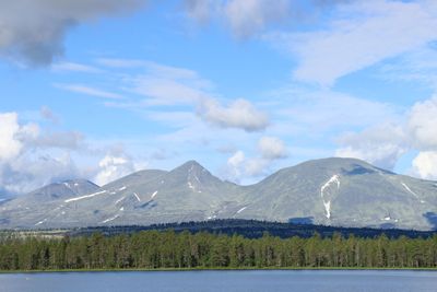IMG_0515.JPG